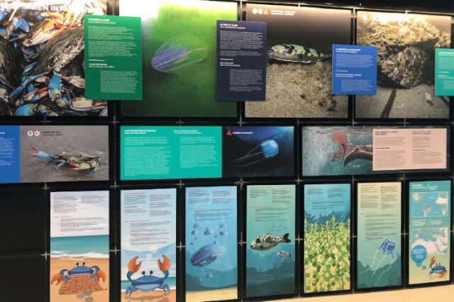Esposizione al Fano Marine Center